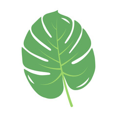 Tropical green veined leaf. Flat style. Vector illustration.