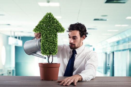 Businessman watering a plant that grows like an arrow . Concept of growing of company economy .