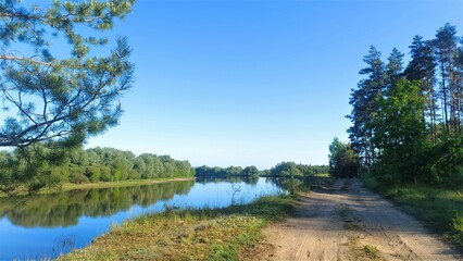 The river is illuminated by the rays of the morning summer sun. A dirt road runs between the river and the pine forest. Grass and willows grow on the opposite bank. The trees and sky are reflected