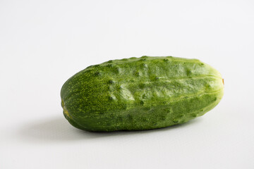Organic freshly picked green pimples cucumber on a white background