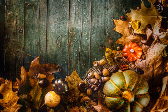 Thanksgiving  Day Dinner. Autumn Fruit And Leaves.. Thanksgiving Autumn Background