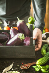 Organic vegetables. Farmers hands with freshly harvested vegetables. Fresh organic eggplant.