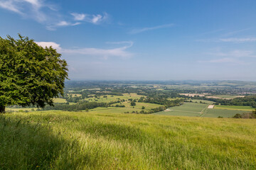 A rural West Sussex view from Chanctonbury Ring, on a sunny June day