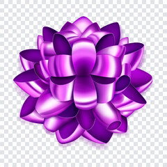 Beautiful big bow made of purple shiny ribbon loops with shadow on transparent background