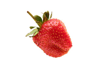 one berry of ripe garden strawberries isolated, transparent background, PNG