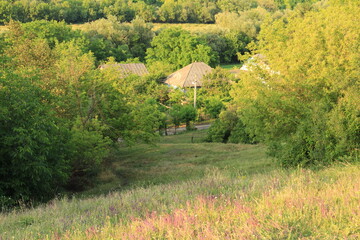 A grassy area with trees and a gazebo