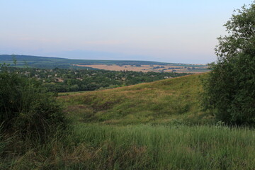 A field of grass and trees