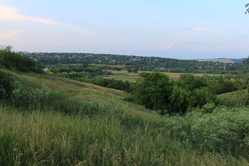 A field of grass and trees