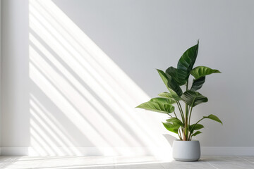 Houseplant on white wall background created with Generative AI technology