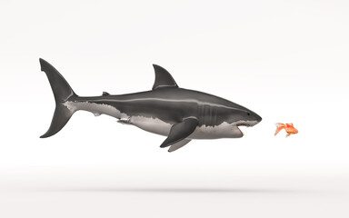 White shark attack a goldfish on a white background. This is a 3d render illustration
