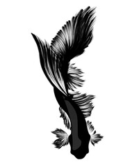 Black fish silhouette, black tattoo 