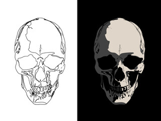 skull on black, black tattoo out line for stencil print.