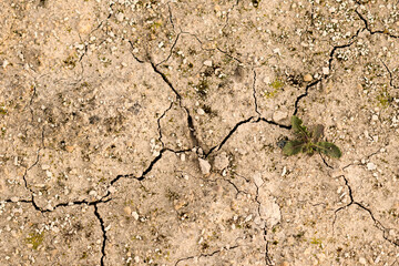 Dry  cracked soil picture, idea of climat change and global warming