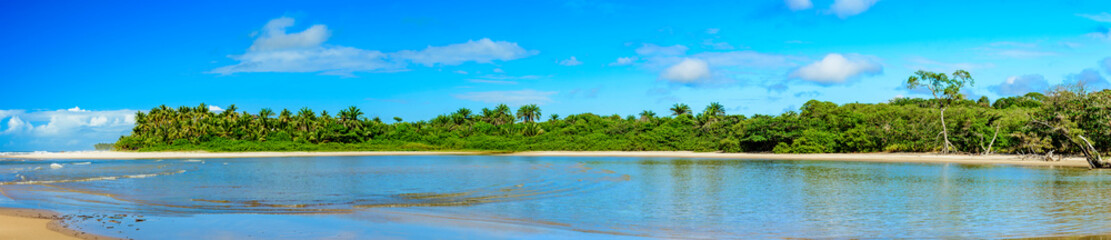 Panoramic photography with the river, mangroves and the beach beside the rainforest of Serra Grande on the coast of Bahia