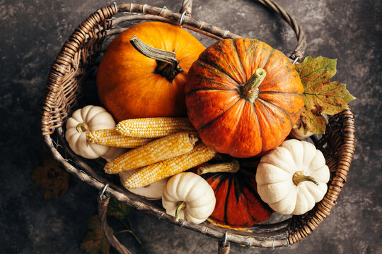 Pumpkins and corn in the basket, top view. Autumn background