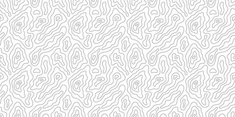 Abstract topographic map outline seamless pattern. Modern minimalist black and white topography landscape background design. Relief contour land line drawing wallpaper print texture.