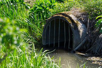a moss covered tunnel entrence