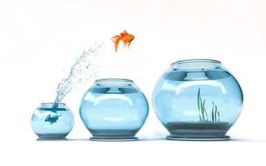 Jumping to the highest level - goldfish jumping in a bigger bowl - aspiration and achievement...