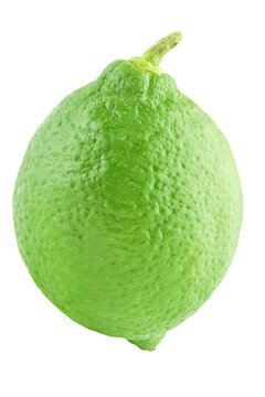 Isolated citrius. One lime fruits isolated on white background with clipping path as package design element.