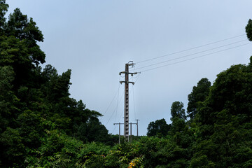 Small Electric pylon in a jungle on the island of Sao Miguel in the Azores. On the hicking path to Cascata de Ribeira Quente waterfall 