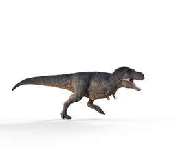Obraz na płótnie Canvas 3d render dinosaur - trex white on white background. This is a 3d render illustration