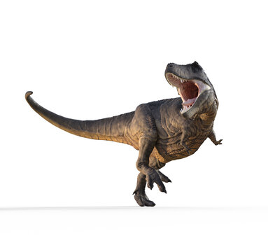 3d render dinosaur - trex white on white background. This is a 3d render illustration