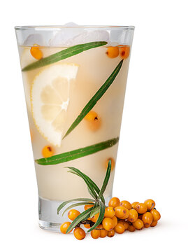 Lemonade from sea buckthorn isolated on white background. Leaves and berries of sea buckthorn in a misted glass with ice.