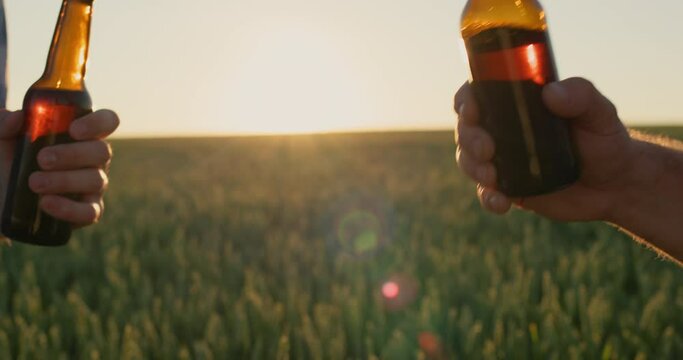 Two person clink bottles of beer against the background of a field of wheat. 4k video