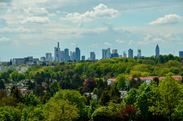 Fototapeta premium Frankfurt skyline behind some houses and green trees under cloudy summer sky