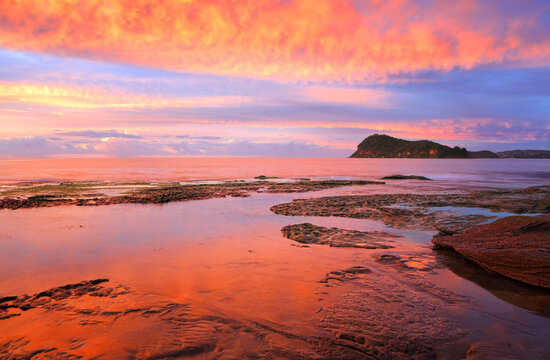 Stunning vivid sunrise over Lion Island from the rocks at Pearl Beach, Australia