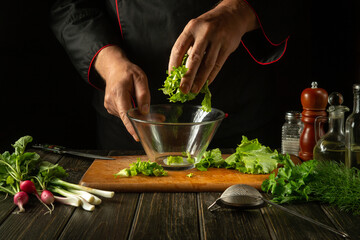The cook puts chopped lettuce leaves on a plate. Working environment in a restaurant kitchen. Delicious food with fresh vegetables