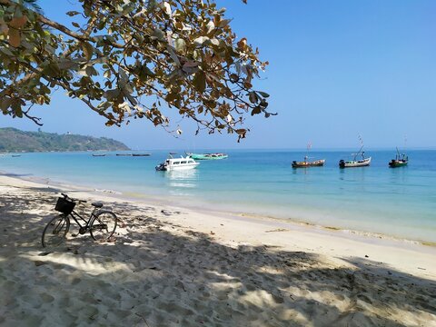 boats on the beach