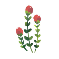 bouquet of red tulips