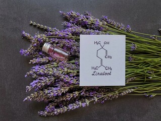 Structural chemical formula of linalool with fresh lavender flowers and cosmetic glass bottles....