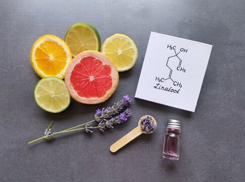 Structural chemical formula of linalool with fresh lavender flowers and citrus fruit. Linalool is an aromatic terpene, the major component of essential oils, it is used in floral fragrances.