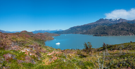 Fototapeta premium Forest in Torres del Paine National Park in Autumn, Patagonia, Chile, 2017