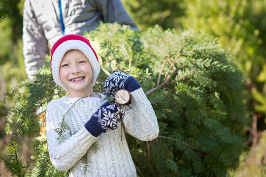 excited little boy in santa's hat carrying christmas tree with his father at farm, winter holiday concept