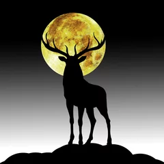 Fototapeten dier black silhouette illustrastion of animal with moon © Designpics