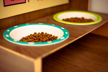 Two plastic bowls as a cat feeder with food inside placed on a dark wooden support.
