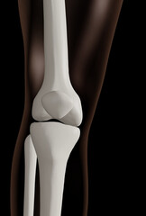 3d rendering of knee joint isolated over black background