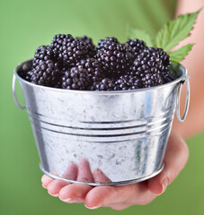 Blackberries in a small metallic bucket held in woman hand - closeup