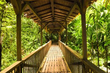 Fototapeta na wymiar Suspended wooden bridge to cross a river in the middle of a green landscape full of green plants