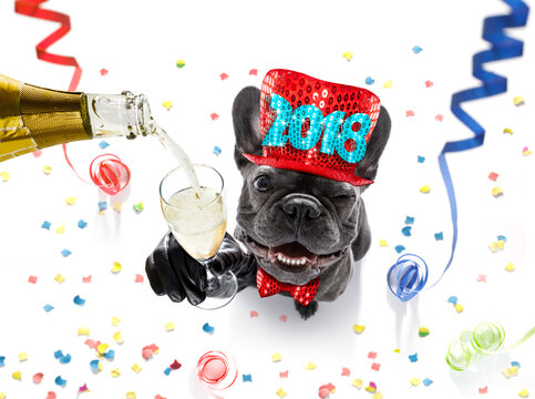 french bulldog dog celebrating new years eve with owner and champagne  glass isolated onwhite with  serpentine streamers and confetti