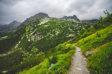 Tourist trail in high wild mountains. Cloudy foggy sky and green hills around. Nature landscape. Travel background. Holiday, hiking, sport, recreation. National Park High Tatra, Slovakia, Europe