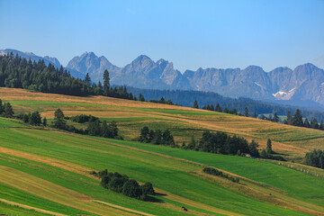 Spisz region: Green Meadows on the hills in front of Tatra mountains