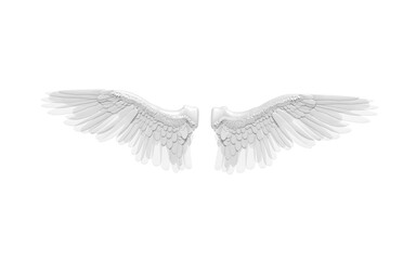 angel wings isolated on white