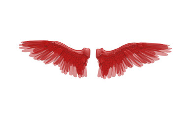 red angel wings isolated on white