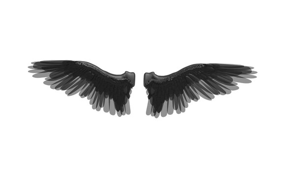 black angel wings isolated on white