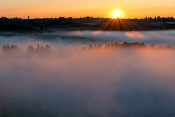 Fototapeta na wymiar Foggy dawn in Izborsko-Malskaya valley, Pskov region