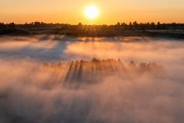 Obraz premium Foggy dawn in Izborsko-Malskaya valley, Pskov region